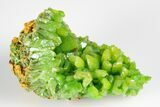 Apple-Green Pyromorphite Crystal Cluster - China #179797-1